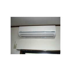 アムール大谷のサムネイル