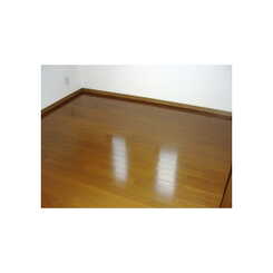 アムール大谷のサムネイル