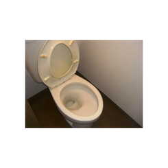 アムール大谷のサムネイル