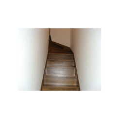 アムール大谷のサムネイル