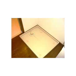 アムール大谷のサムネイル