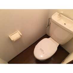 アムール大谷のサムネイル