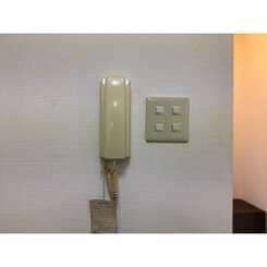 アムール大谷のサムネイル