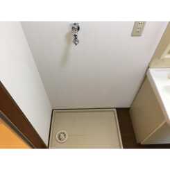 アムール大谷のサムネイル