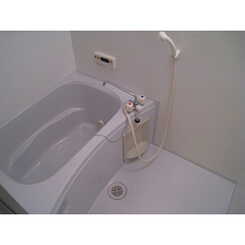 アムール星野のサムネイル