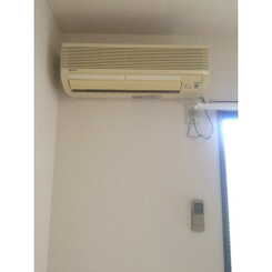 アムールKのサムネイル