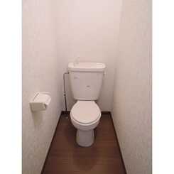 アムール松村のサムネイル