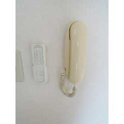 アムール松村のサムネイル