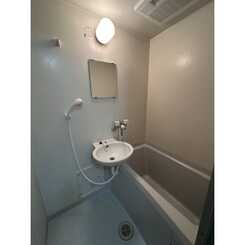 アムールコーラルリーフのサムネイル