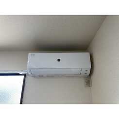 アムールコーラルリーフのサムネイル