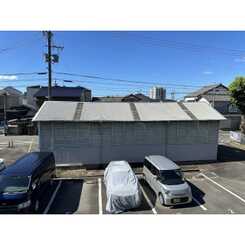 アムールコーラルリーフのサムネイル