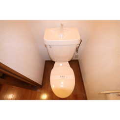 アムール雅のサムネイル