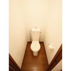 アムール Kitamiのサムネイル