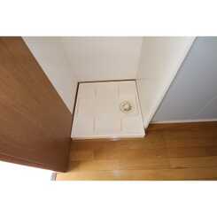 アムール英のサムネイル