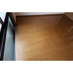 アムール英のサムネイル