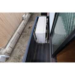 アムール英のサムネイル