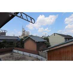 アムール英のサムネイル