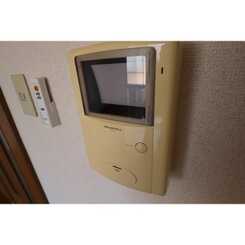 アムール英のサムネイル