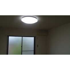 アムール英のサムネイル