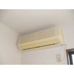 アムール21のサムネイル