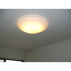 アムール21のサムネイル