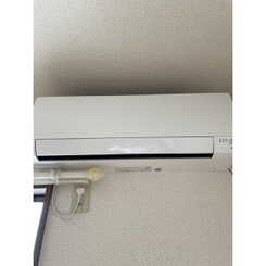 アムールラフレシアのサムネイル