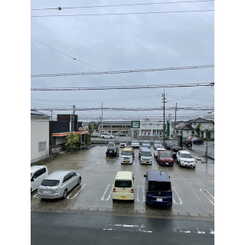 アムールラフレシアのサムネイル