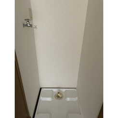 アムールラフレシアのサムネイル