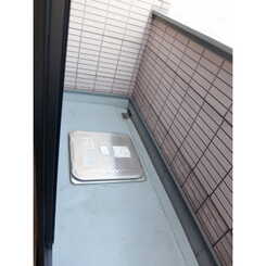 アムール Araiのサムネイル