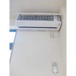 アムール Araiのサムネイル