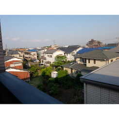 アムール Araiのサムネイル