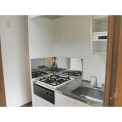 アムール もみの木のサムネイル