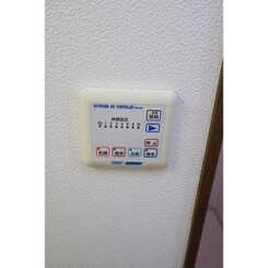 アムール もみの木のサムネイル