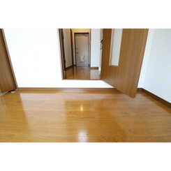 アムール もみの木のサムネイル