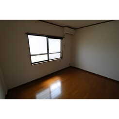 アムール もみの木のサムネイル