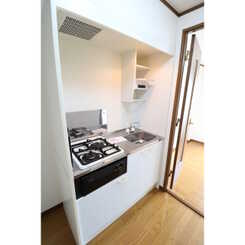 アムール もみの木のサムネイル