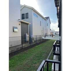 アムール もみの木のサムネイル