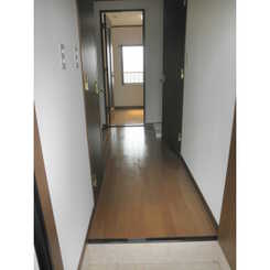 アムール もみの木のサムネイル