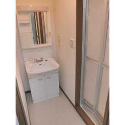 アムール もみの木のサムネイル