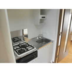 アムール もみの木のサムネイル