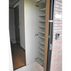 アムール もみの木のサムネイル