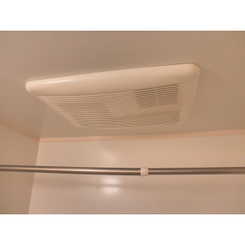 アムール もみの木のサムネイル