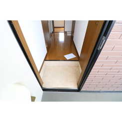 アムール もみの木のサムネイル