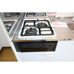 アムール もみの木のサムネイル