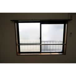 アムール もみの木のサムネイル