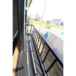 アムール もみの木のサムネイル