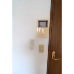 アムール もみの木のサムネイル