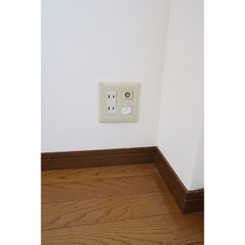 アムール もみの木のサムネイル