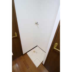 アムール もみの木のサムネイル