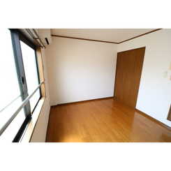 アムール もみの木のサムネイル